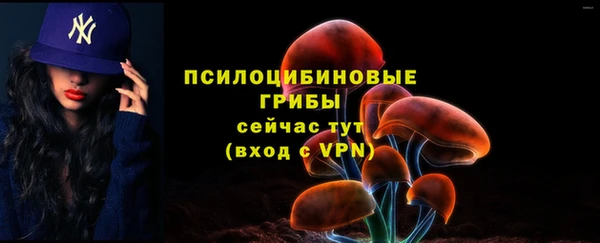 экстази Михайлов