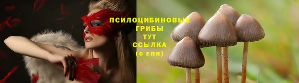 apvp Михайловск