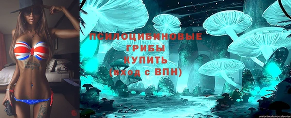 экстази Михайлов