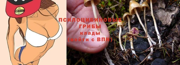 экстази Михайлов