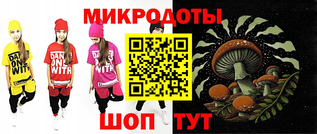 Псилоцибиновые грибы Psilocybe Нижний Новгород