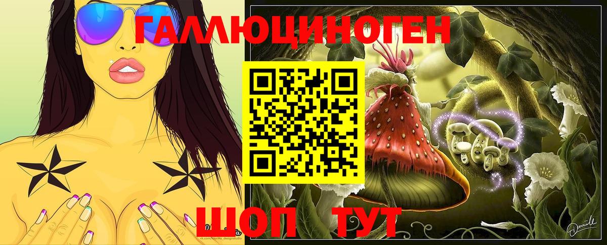 Галлюциногенные грибы Psilocybine cubensis Нижний Новгород