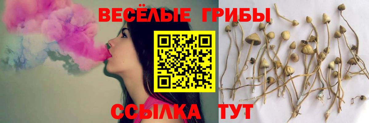 Псилоцибиновые грибы GOLDEN TEACHER  Нижний Новгород 